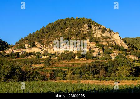 FRANKREICH. Vaucluse (84) Séguret die schönsten Dörfer Frankreichs, die vom Dorf aus gesehen werden, der Weinberg Stockfoto