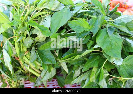 Traditionelles karibisches Blattgemüse Amaranth oder Callaloo zum Verkauf an einem Marktstand Stockfoto