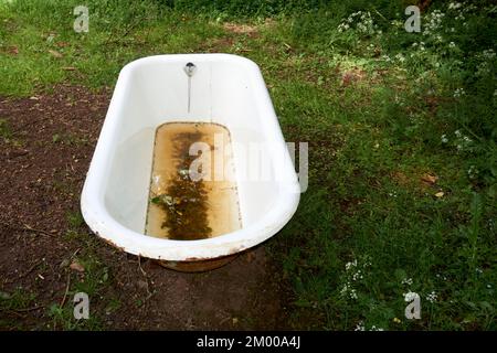 Eine alte Badewanne gefüllt mit trübem Wasser auf einem Feld Stockfoto