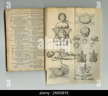 Verwittertes und gelbliches medizinisches Tagebuch. Ein altes Anatomiebuch mit seinen Seiten. Stockfoto