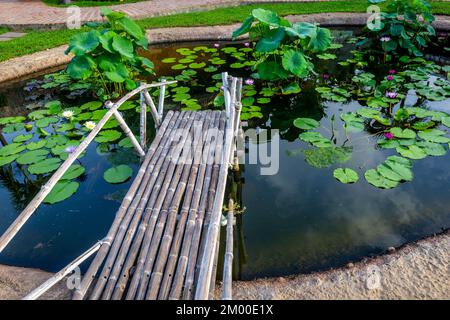 Eine kurze Brücke aus Bambusstangen führt über einen kleinen Teich in Vietnam. Stockfoto