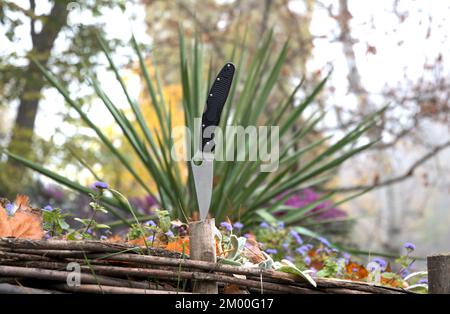 Klappmesser graue Schneideklinge schwarzer Griff grünes Gras Blüten Holzmakro Hintergrund Stockfoto