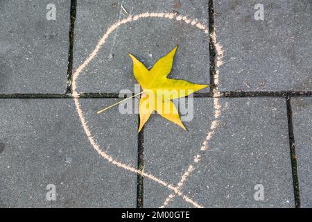 Vergilbtes Ahornblatt fiel in der Mitte einer Farbtropfmarke auf den Boden. Brüssel. Stockfoto