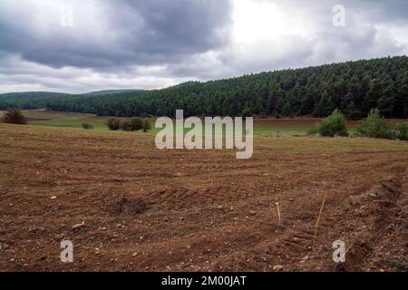 Landstraße im Herbstgebirge und farbenfrohe Bäume an Hängen. Avlonas, Griechenland. Stockfoto