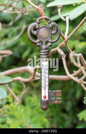 Bild: Altes, schlüsselförmiges Metallthermometer im Vintage-Stil mit grünem, natürlichem Hintergrund Stockfoto