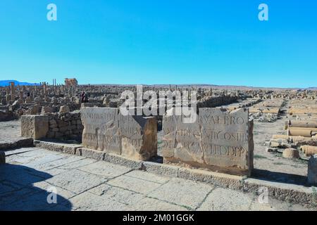 Blick auf die Ruinen der antiken römischen Stadt Timgad, auch bekannt als Marciana Traiana Thamugadi im Aures-Gebirge, Algerien Stockfoto