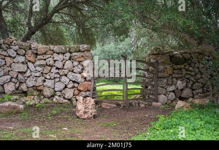 Typisches menorquinisches Holztor in einer trockenen Steinmauer, Menorca, Balearen, Spanien. Stockfoto