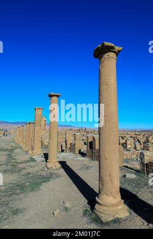 Blick auf die Ruinen der antiken römischen Stadt Timgad, auch bekannt als Marciana Traiana Thamugadi im Aures-Gebirge, Algerien Stockfoto