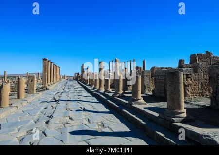 Blick auf die Ruinen der antiken römischen Stadt Timgad, auch bekannt als Marciana Traiana Thamugadi im Aures-Gebirge, Algerien Stockfoto