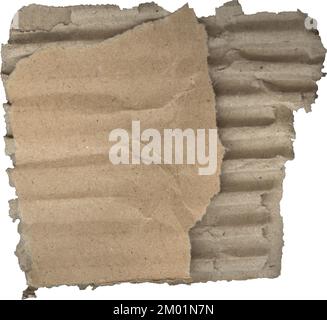 Zerrissene Pappstrukturen, ein Stück Papppapier Stockfoto