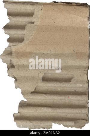 Zerrissene Pappstrukturen, ein Stück Papppapier Stockfoto