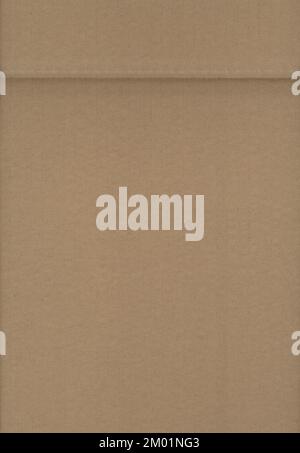 Zerrissene Pappstrukturen, ein Stück Papppapier Stockfoto