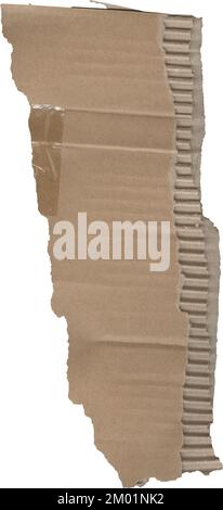 Zerrissene Pappstrukturen, ein Stück Papppapier Stockfoto