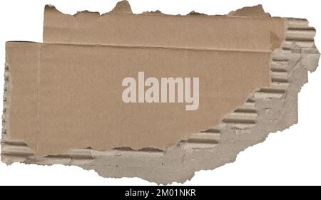 Zerrissene Pappstrukturen, ein Stück Papppapier Stockfoto