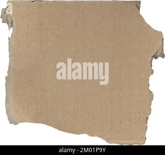 Zerrissene Pappstrukturen, ein Stück Papppapier Stockfoto