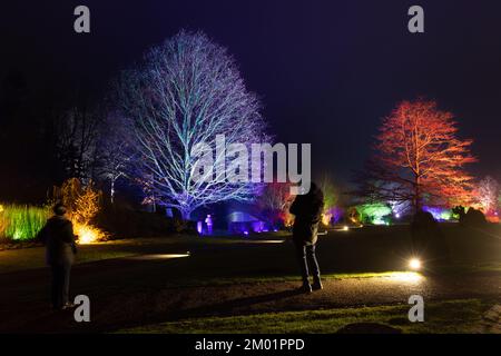 Harrogate, Großbritannien - 02.. Dezember 2022. Glow Festival im RHS Harlow Carr. Kredit: Jill ODonnell/Alamy Live News Stockfoto