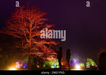 Harrogate, Großbritannien - 02.. Dezember 2022. Glow Festival im RHS Harlow Carr. Kredit: Jill ODonnell/Alamy Live News Stockfoto