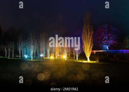 Harrogate, Großbritannien - 02.. Dezember 2022. Glow Festival im RHS Harlow Carr. Kredit: Jill ODonnell/Alamy Live News Stockfoto