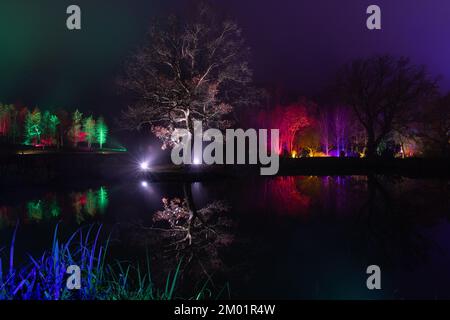 Harrogate, Großbritannien - 02.. Dezember 2022. Glow Festival im RHS Harlow Carr. Kredit: Jill ODonnell/Alamy Live News Stockfoto