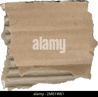 Zerrissene Pappstrukturen, ein Stück Papppapier Stockfoto