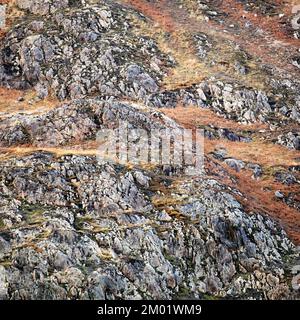 Naturfoto der Geologie, das zufällige Muster, Textur, Form zeigt, mit einer subtilen Farbpalette in einem halbabstrakten Stil im Nantgwynant Valley Stockfoto