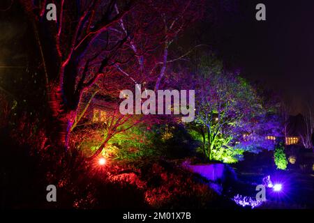 Harrogate, Großbritannien - 02.. Dezember 2022. Glow Festival im RHS Harlow Carr. Kredit: Jill ODonnell/Alamy Live News Stockfoto