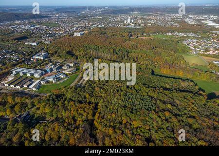 Luftaufnahme, Fernuniversität Hagen, Fleyer-Wald in Herbstfarben, Universitätsviertel, Polizeihauptquartier Hoheleye, Altenhagen, Hagen, Flyer-Wald Stockfoto