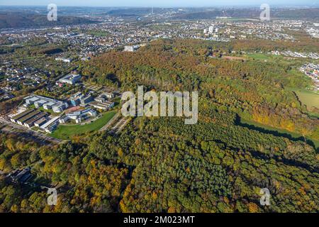 Luftaufnahme, Fernuniversität Hagen, Fleyer-Wald in Herbstfarben, Universitätsviertel, Polizeihauptquartier Hoheleye, Altenhagen, Hagen, Flyer-Wald Stockfoto