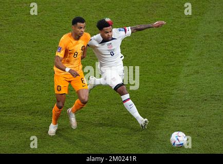 Cody Gakpo aus den Niederlanden (links) und Weston McKennie aus den USA kämpfen während des Spiels der FIFA-Weltmeisterschaft 16 im Khalifa International Stadium in Al Rayyan, Katar, um den Ball. Foto: Samstag, 3. Dezember 2022. Stockfoto