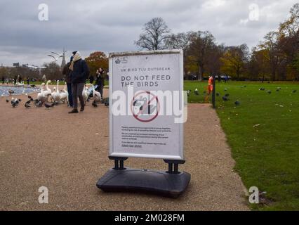 London, Großbritannien. 3.. Dezember 2022 Menschen füttern die Vögel neben einem Schild am Round Pond in Kensington Gardens warnen Besucher, dies nicht zu tun, da sich der schlimmste registrierte Ausbruch der Vogelgrippe weiterhin in Großbritannien ausbreitet. Tausende von Wildvögeln sind durch das Virus im ganzen Land gestorben, und Millionen von Hausvögeln wurden durch das Virus getötet und getötet, um die Ausbreitung einzudämmen. Berichten zufolge wurde das tödliche Virus auf Geflügelfarmen zurückverfolgt und ist auf Wildpopulationen übergesprungen. Kredit: Vuk Valcic/Alamy Live News Stockfoto