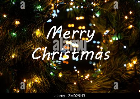 Frohe Weihnachten Text auf immergrünen Winterzweigen, die von Schnee mit Bokeh-Lichtern bedeckt sind. Stockfoto