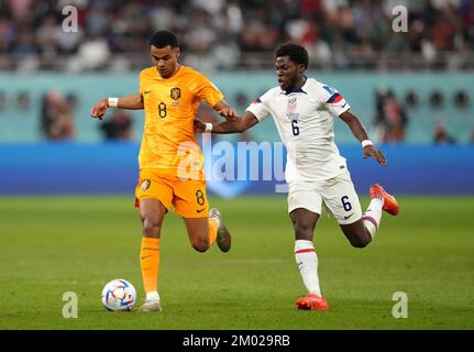 Cody Gakpo aus den Niederlanden (links) und Yunus Musah aus den USA in Aktion während des Spiels der FIFA-Weltmeisterschaft 16 im Khalifa International Stadium in Al Rayyan, Katar. Foto: Samstag, 3. Dezember 2022. Stockfoto