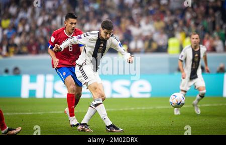 Doha, Katar. 1.. Dezember 2022. Tor von Kai Havertz (Deutschland) zum 2:2 Costa Rica - Deutschland Costa Rica - Deutschland Weltmeisterschaft 2022 in Katar 01.12.202 Stockfoto