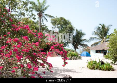 Chez Claude Resort, Insel Joao Viera, Guinea-Bissau Stockfoto