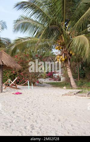 Chez Claude Resort, Insel Joao Viera, Guinea-Bissau Stockfoto