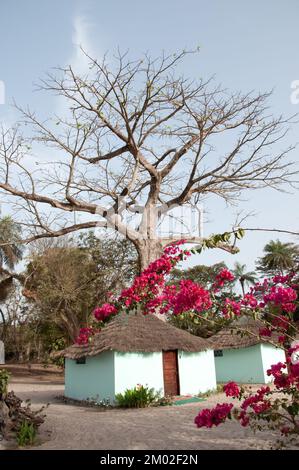 Chez Claude Resort, Insel Joao Viera, Guinea-Bissau Stockfoto