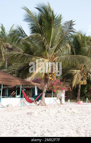 Strand, Chez Claude Resort, Insel Joao Viera, Guinea-Bissau Stockfoto