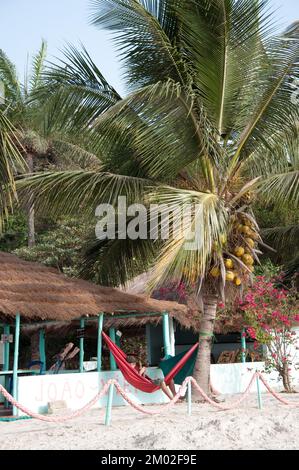 Strand, Chez Claude Resort, Insel Joao Viera, Guinea-Bissau Stockfoto