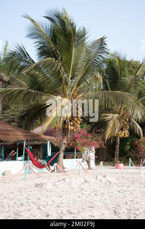 Strand, Chez Claude Resort, Insel Joao Viera, Guinea-Bissau Stockfoto