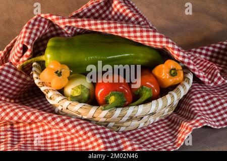 Ein Korb gefüllt mit chilenischen Paprika, einschließlich Serannos, Jalepenos und Paprika von Hatch. Stockfoto