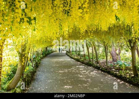 Bodnant Gardens Stockfoto