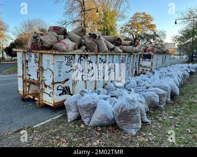 Im Prospect Park wurden Säcke und Säcke mit gefallenen Blättern gesammelt, um in Brooklyn, New York, zum Kompostieren zu gehen. Stockfoto