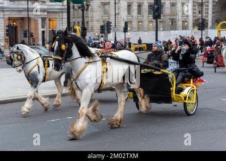 Westminster, London, Großbritannien. 3.. Dezember 2022. Eine Reihe von Pony und Fallen sind durch die Stadt Westminster geritten, durch den Trafalgar Square Verkehr. Veranstaltung mit dem Titel London Christmas Horse Drive, of Gypsies, Travellers and Visitors aus ganz Großbritannien. Die Fahrgeschäfte werden als wohltätige Zwecke bezeichnet. Stockfoto