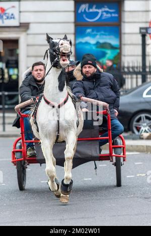 Westminster, London, Großbritannien. 3.. Dezember 2022. Eine Reihe von Pony und Fallen sind durch die Stadt Westminster geritten, durch den Trafalgar Square Verkehr. Veranstaltung mit dem Titel London Christmas Horse Drive, of Gypsies, Travellers and Visitors aus ganz Großbritannien. Die Fahrgeschäfte werden als wohltätige Zwecke bezeichnet. Stockfoto