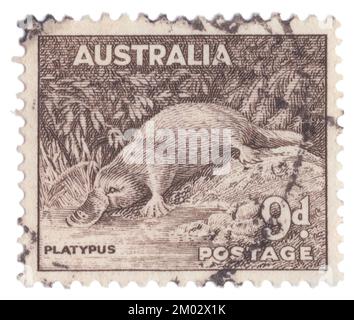 AUSTRALIEN — 1943: Eine Briefmarke von 9 Pence Sepia mit Platypus. King George VI. Und Queen Elizabeth Serie. Das Schnabeltier (Ornithorhynchus anatinus), manchmal auch als Entenschnabeltier bezeichnet, ist ein semiaquatisches, auf Eiern legendes Säugetier, das im Osten Australiens, einschließlich Tasmaniens, endemisch ist. Das Platypus ist das einzige lebende repräsentative oder monotypische Taxon seiner Familie (Ornithorhynchidae) und Gattung (Ornithorhynchus), obwohl eine Reihe verwandter Arten in den Fossilienunterlagen aufgeführt sind Stockfoto