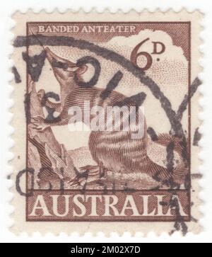 AUSTRALIEN — 1960. September 30: Ein 6 Pence Schokoladenpoststempel, der Ameisenbänke mit Bändern darstellt. Der Taubat (Myrmecobius fasciatus), auch bekannt als Noombat oder Walpurti, ist ein insektenfressendes Beuteltier. Es handelt sich um eine tägliche Ernährung, die fast ausschließlich aus Termiten besteht. Die Art war einst in Südaustralien verbreitet, ist aber jetzt auf mehrere kleine Kolonien in Westaustralien beschränkt. Sie gilt daher als gefährdete Art und wird durch Erhaltungsprogramme geschützt. Numbats wurden vor kurzem wieder in eingezäunte Reserven in Südaustralien und New South Wales eingeführt Stockfoto