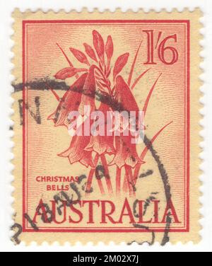 AUSTRALIEN – 1960. Februar 3: Ein 1 Schilling 6 Pence roter Briefmarken auf gelbem Porto mit Weihnachtsglocken. Actinotus helianthi, auch bekannt als Flanellblume, ist eine im Buschland um Sydney gebräuchliche Art von Blütenpflanzen. Es wurde vom französischen Botaniker Jacques Labillardière in seinem Exemplar Novae Hollandiae Plantarum als erste allgemeine Flora Australiens benannt und beschrieben Stockfoto