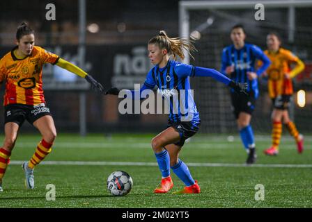 Aalter, Belgien. 03.. Dezember 2022. Lyndsey Van Belle (14) aus Brügge, abgebildet während eines Fußballspiels zwischen Club Brügge Dames YLA und KV Mechelen am 13.. Spieltag der Saison 2022 - 2023 der belgischen Lotto Womens Super League am samstag, den 5. November 2022 in Aalter, Belgien . FOTO SPORTPIX | DAVID CATRY Kredit: David Catry/Alamy Live News Stockfoto