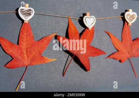 Rote Herbstblätter hängen mit Herzen an einem Seil. Liebe Grüße zum Valentinstag Stockfoto