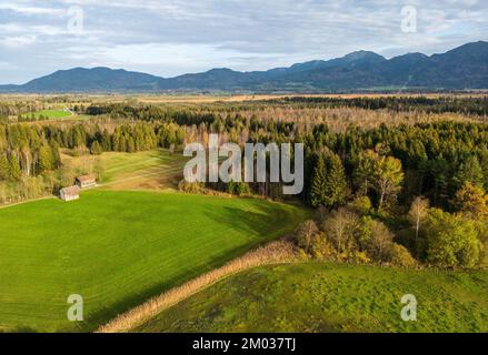 Landschaft mit Bäumen und Bergen in Oberbayern Stockfoto